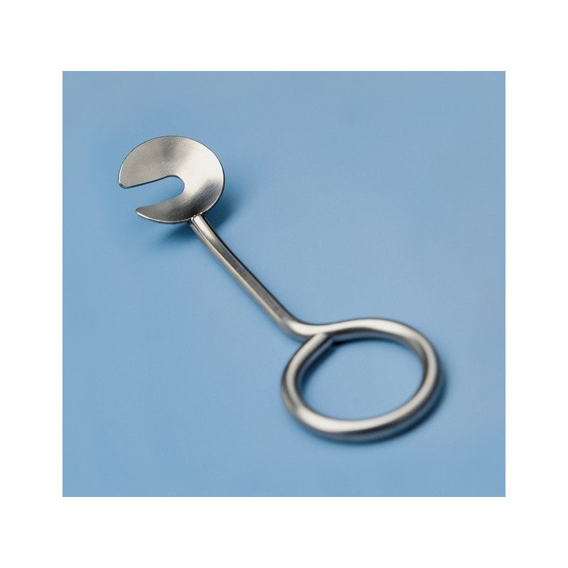 Button horn